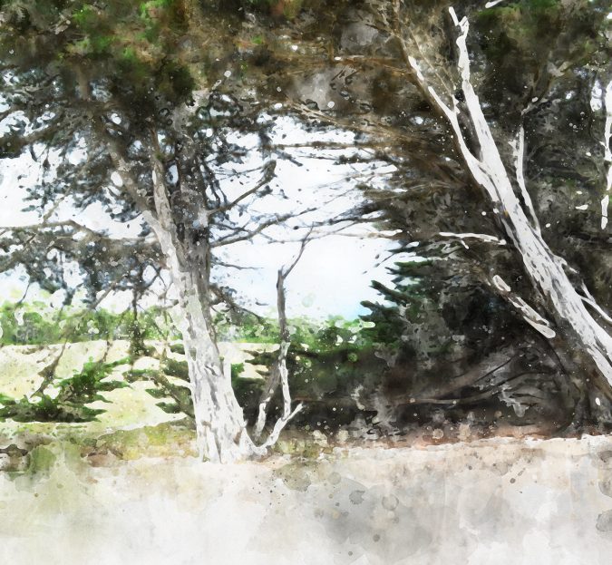 Bazas - “Les deux frères de la grande prairie”