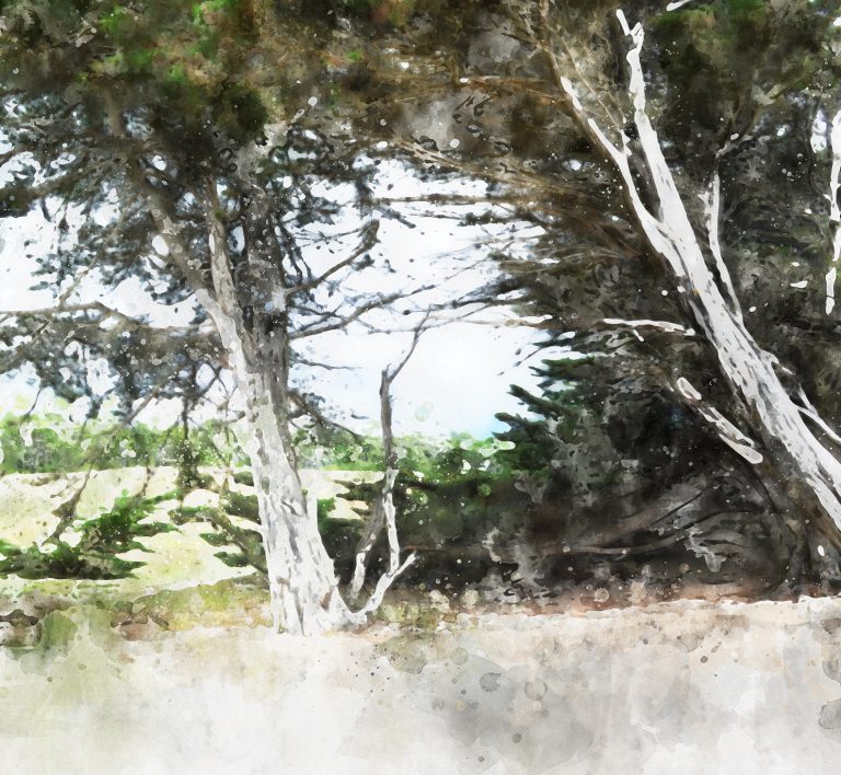 Bazas - “Les deux frères de la grande prairie”