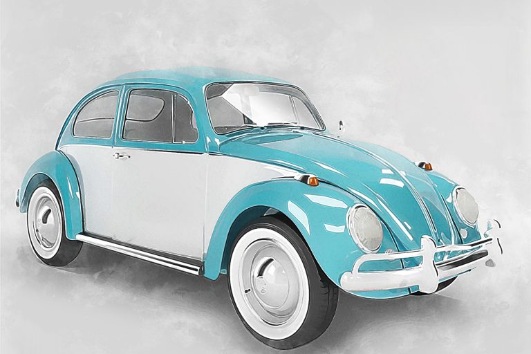 coccinelle-Watercolor-1800