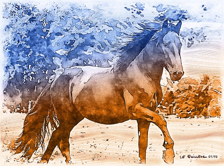 Yannick Le Quilleuc - dessin de chevaux à Bazas