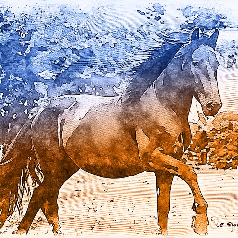 tableau de l’artiste peintre Yannick Le Quilleuc “Foulée dans les herbes” Yannick Le Quilleuc - dessin de chevaux à Bazas