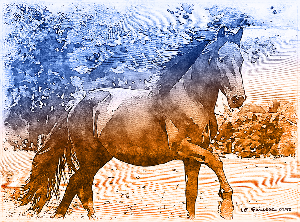 Yannick Le Quilleuc - dessin de chevaux à Bazas
