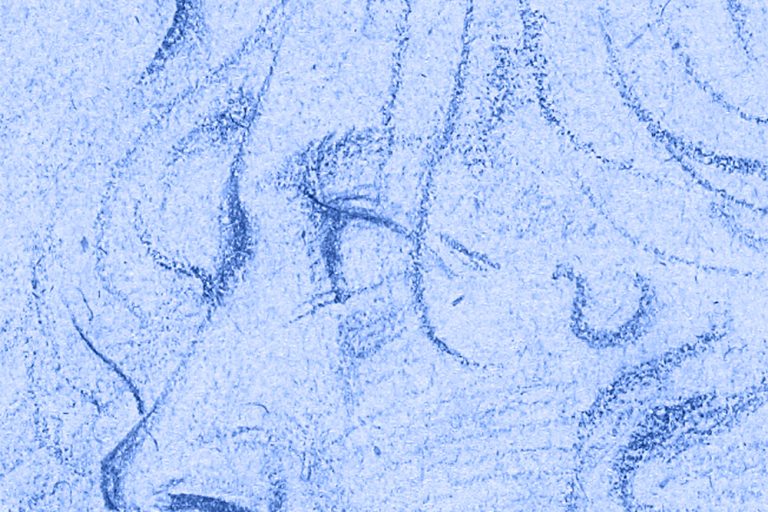 Yannick Le Quilleuc – Artiste Peintre – dessin d’Art – portrait de jeune bretonne