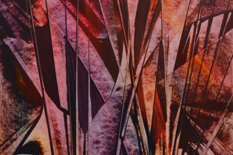 les-fleurs-de-Mars-2000