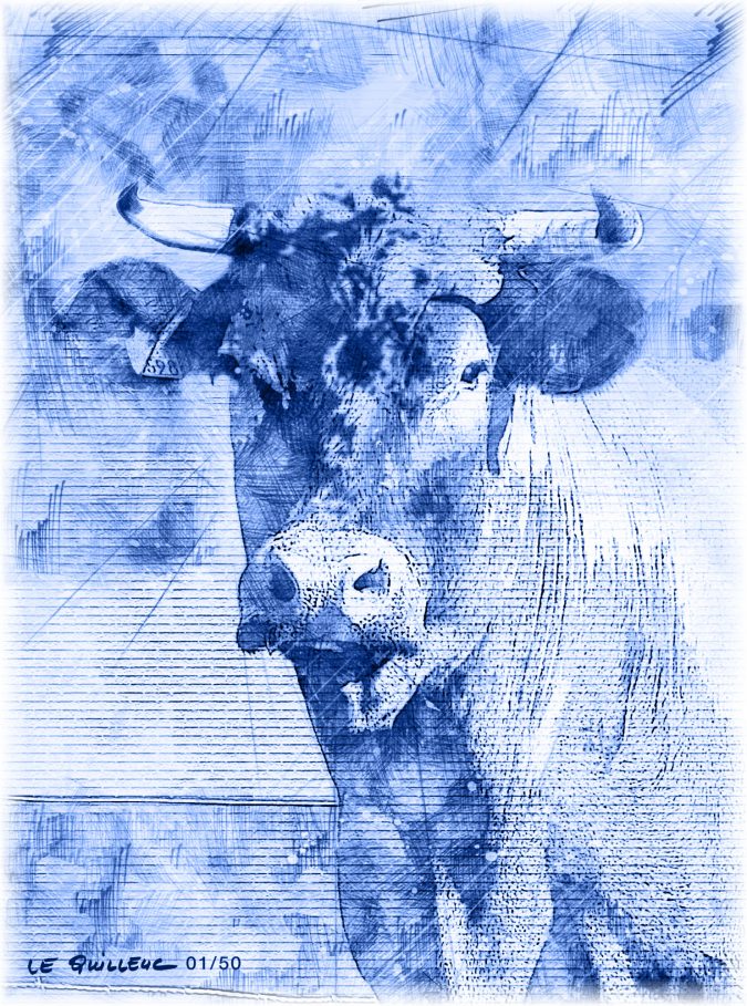 Yannick Le Quilleuc - Artiste Peintre