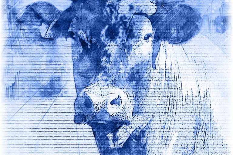 Yannick Le Quilleuc - Artiste Peintre