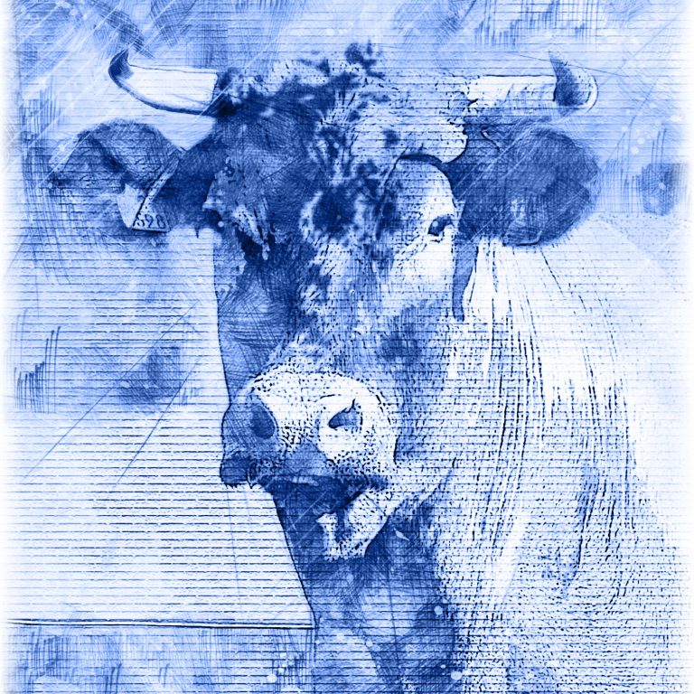 Yannick Le Quilleuc - Artiste Peintre